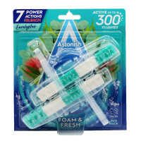 Astonish блоки для унитаза Eucalyptus 2 шт